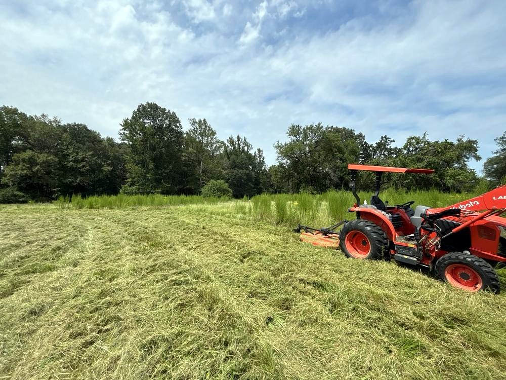 Freshly cleared and mowed field after Bulldog Land Management finished the job