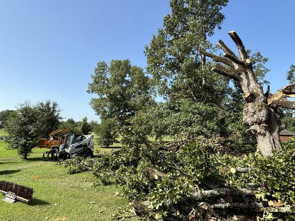Tree removal equipment clearing cut tree debris